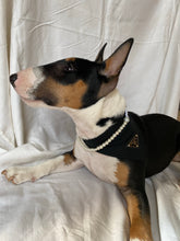 Load image into Gallery viewer, Pooch Pearls