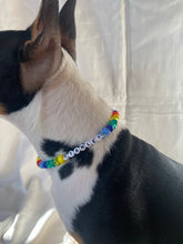 Load image into Gallery viewer, The Stanley Necklace