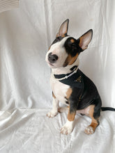 Load image into Gallery viewer, Pooch Pearls