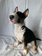 Load image into Gallery viewer, Pooch Pearls