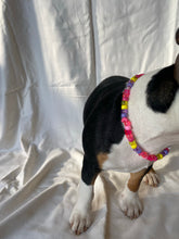 Load image into Gallery viewer, The Saffy necklace