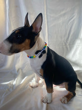 Load image into Gallery viewer, The Stanley Necklace