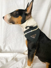 Load image into Gallery viewer, Pooch Pearls