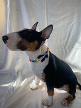 Load image into Gallery viewer, The Stanley Necklace