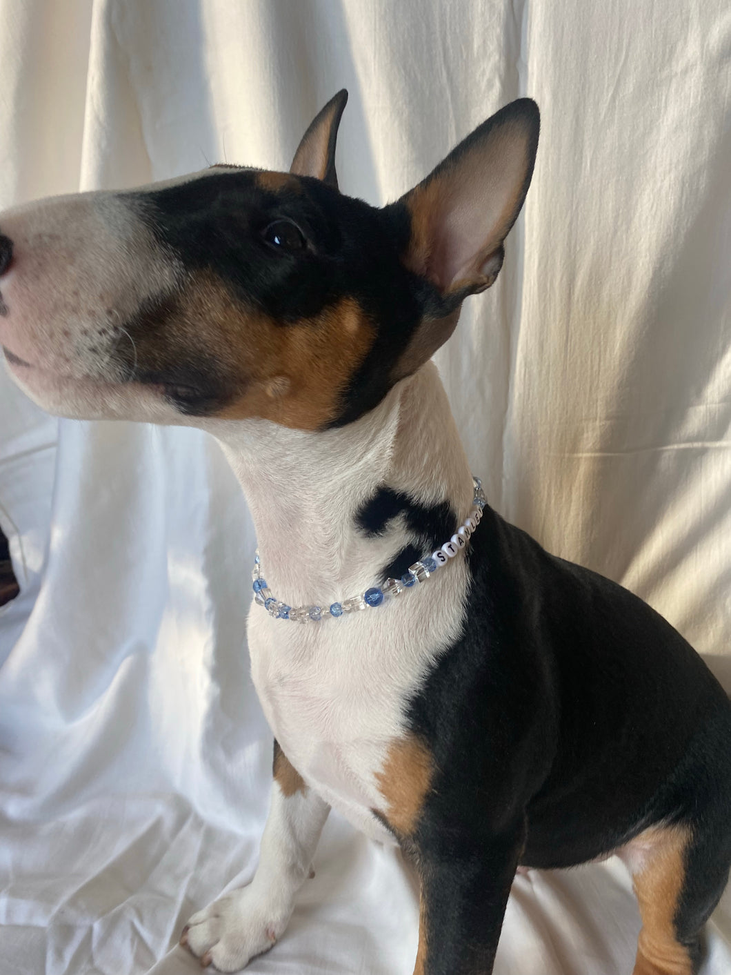 The Stanley Luxe Necklace