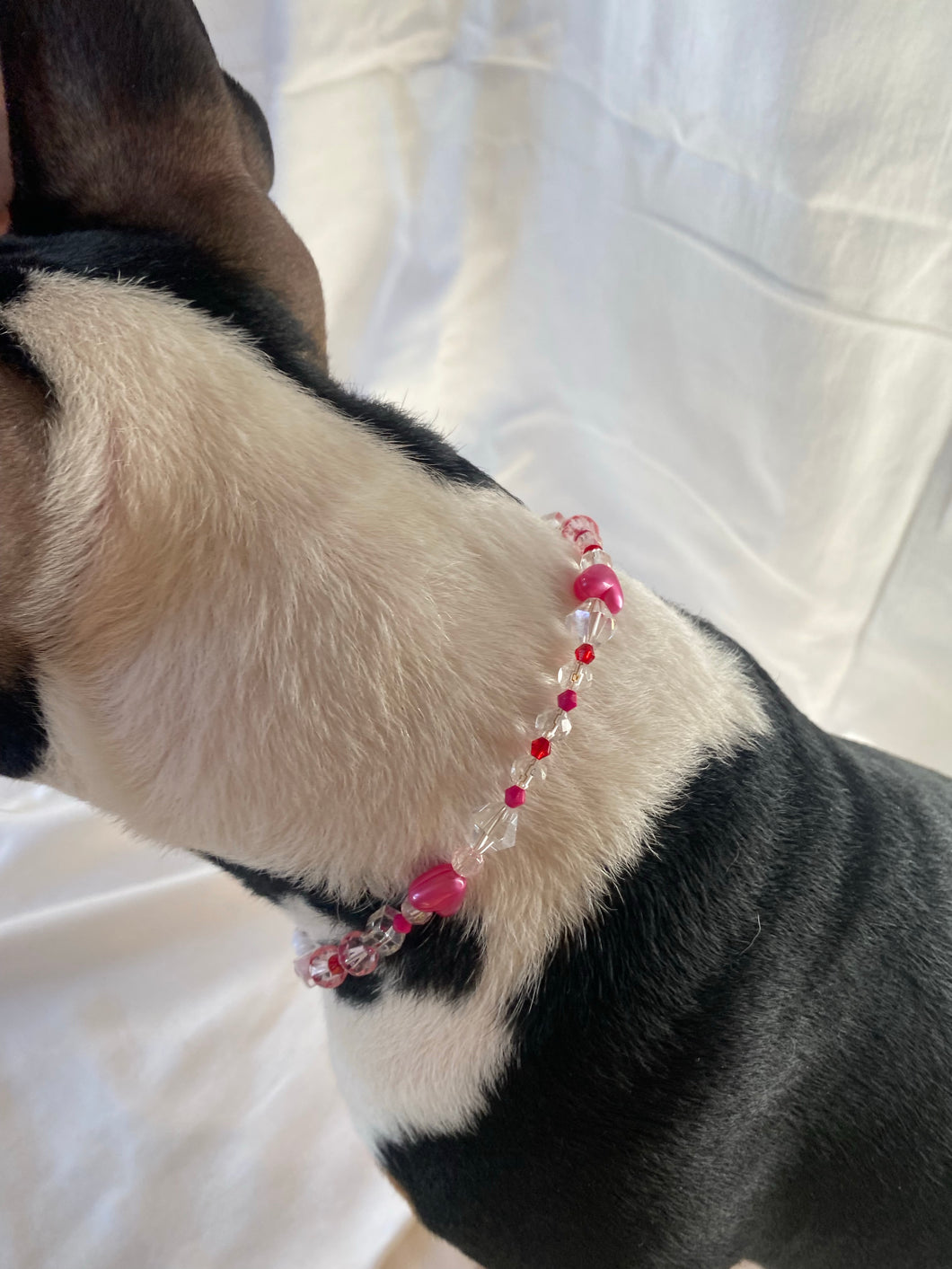 The Saffy Luxe Necklace
